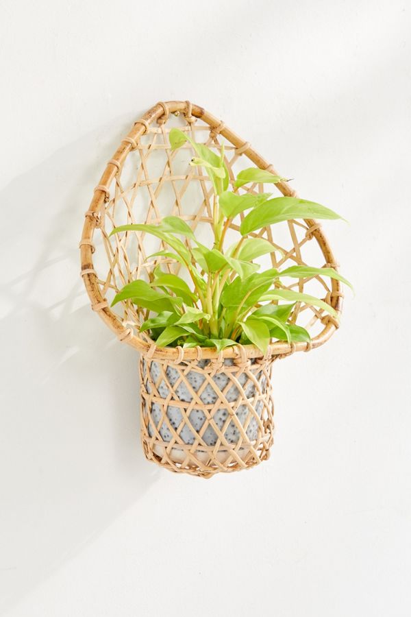 Slide View: 1: Ryland Planter Wall Basket