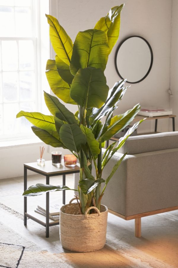 Potted Faux Banana Tree | Urban Outfitters