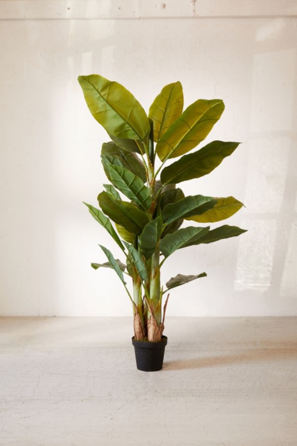 Potted Faux Banana Tree Urban Outfitters
