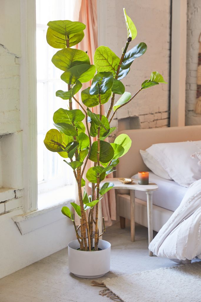 Potted Sea Grape Faux Plant | Urban Outfitters