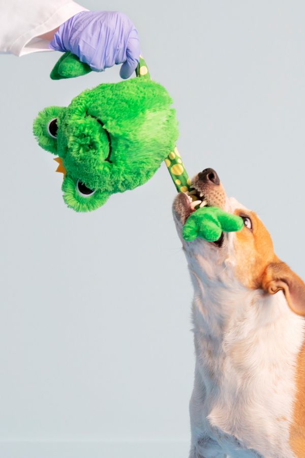 Slide View: 2: BARK Frank the Frog Dog Toy