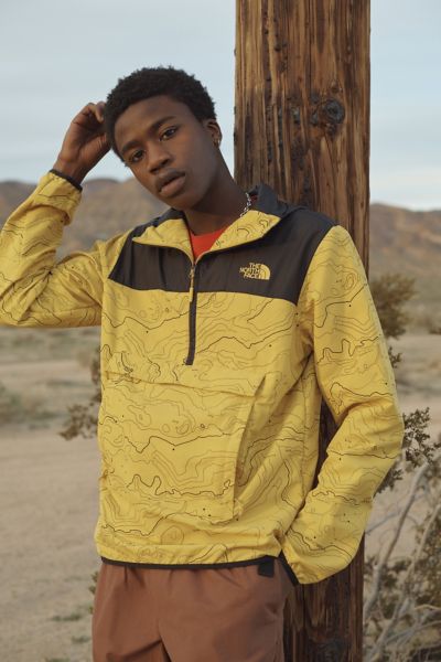 urban outfitters the north face