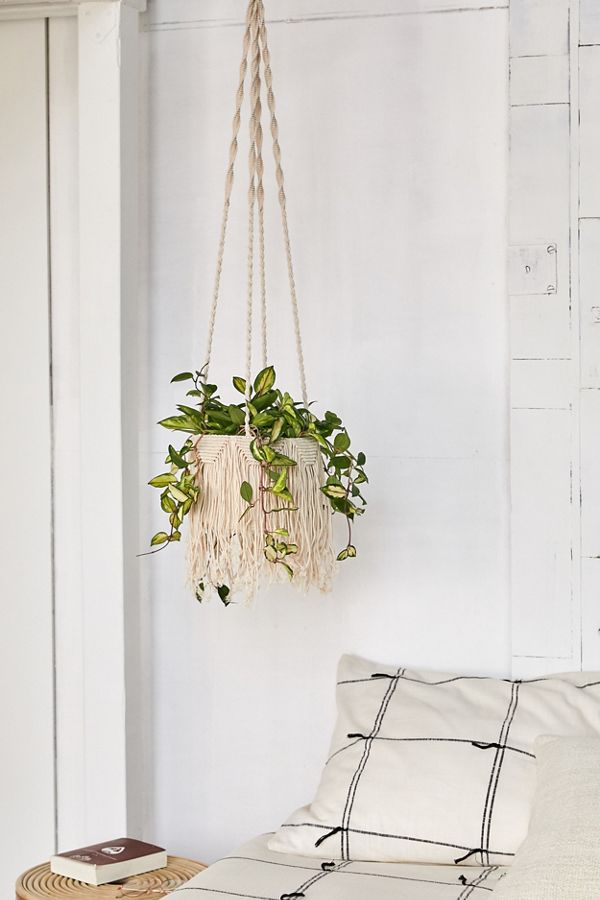 Slide View: 1: Natalie Macramé Hanging Planter