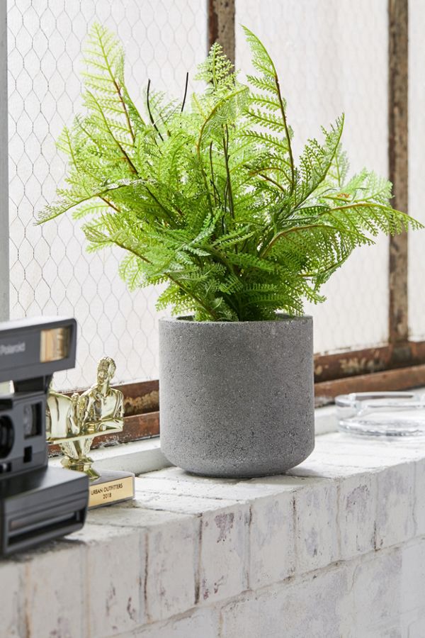 Slide View: 1: Potted Fern Faux Plant
