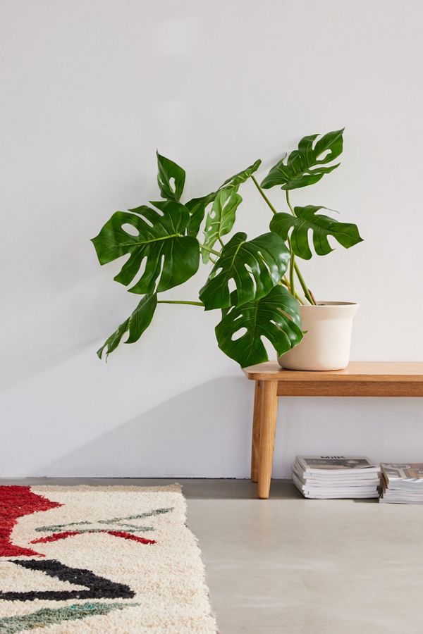 Slide View: 1: Potted Monstera 3â?? Faux Plant