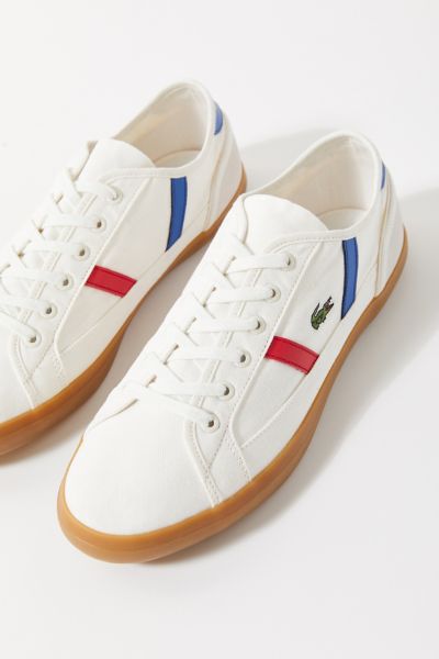 lacoste sideline tricolor sneaker