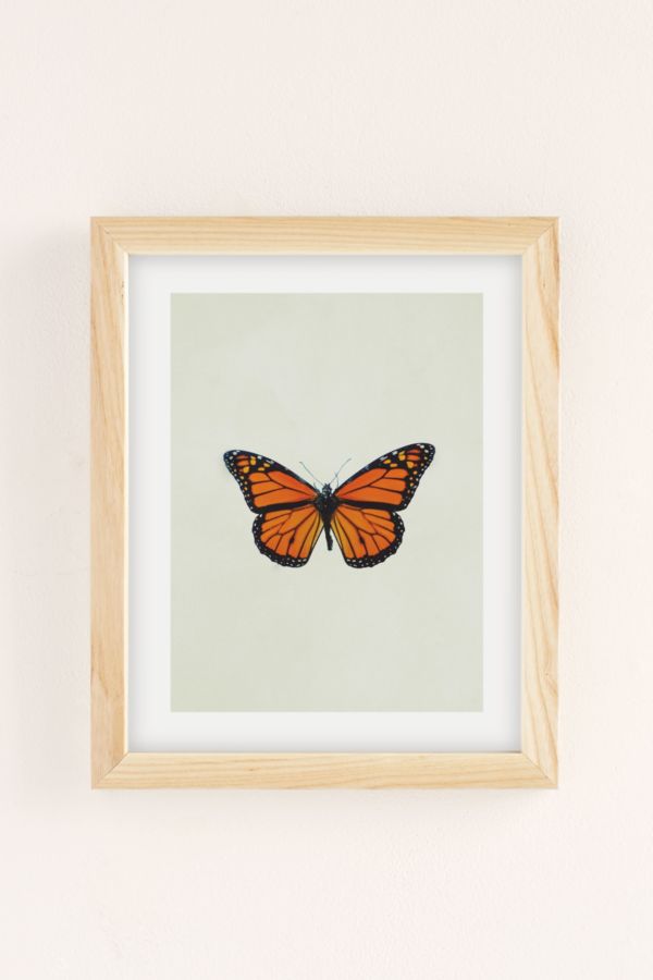 Slide View: 2: Chelsea Victoria The Queen Butterfly Art Print