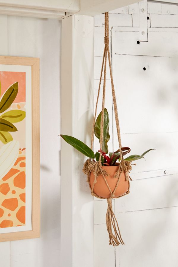 Slide View: 1: Fringed Hanging Planter