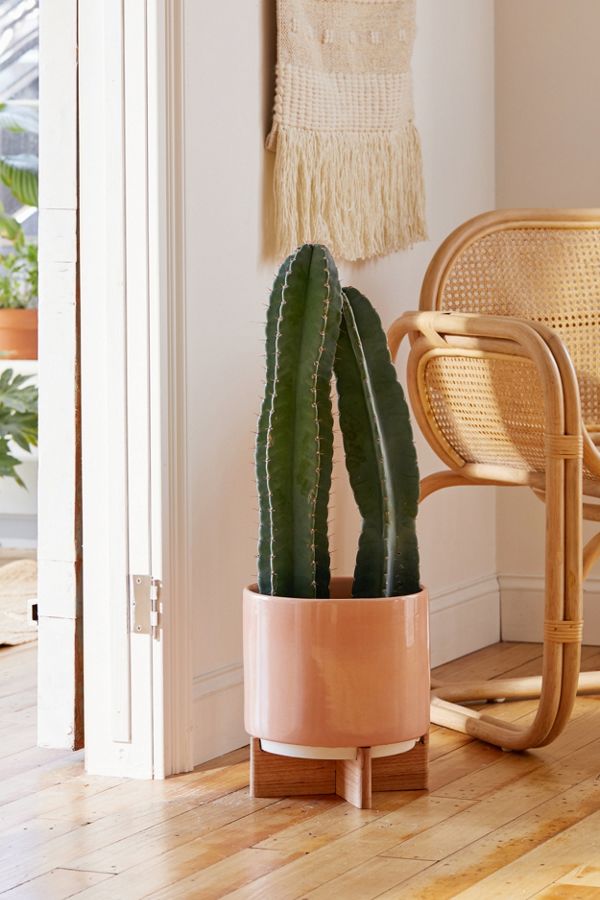Slide View: 1: Cecily 10” Planter + Stand