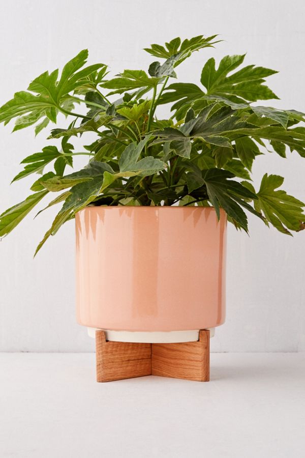 Slide View: 2: Cecily 10ā?¯ Planter + Stand