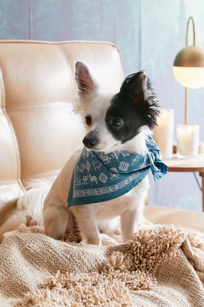 UO Community Cares + PSPCA Pet Bandana Urban Outfitters