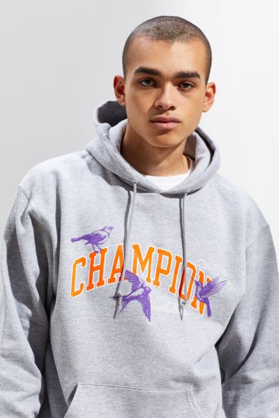champion uo exclusive hoodie sweatshirt