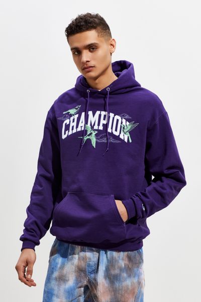 champion uo exclusive eco fleece bird print hoodie sweatshirt