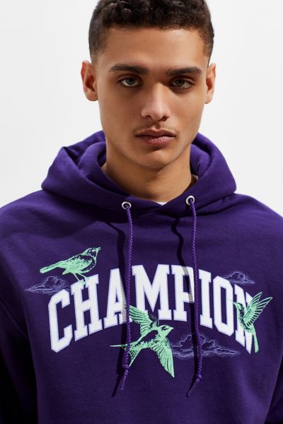 champion uo exclusive eco fleece bird print hoodie sweatshirt