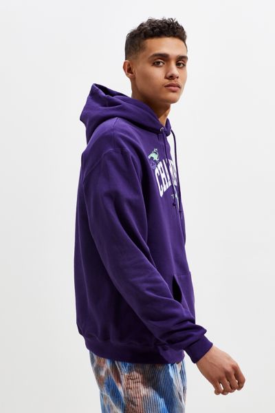 champion hoodie with birds