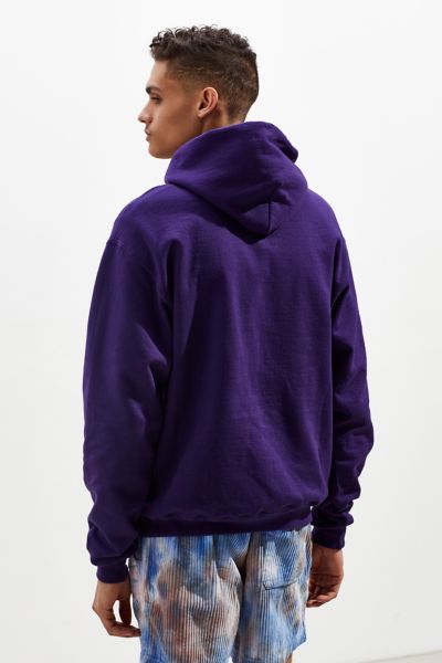 champion uo exclusive eco fleece bird print hoodie sweatshirt