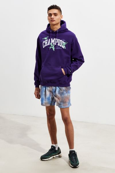 champion uo exclusive eco fleece bird print hoodie sweatshirt