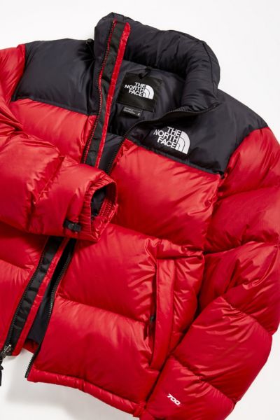 urban outfitters the north face