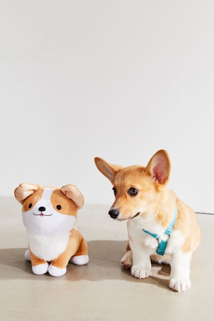 large stuffed corgi