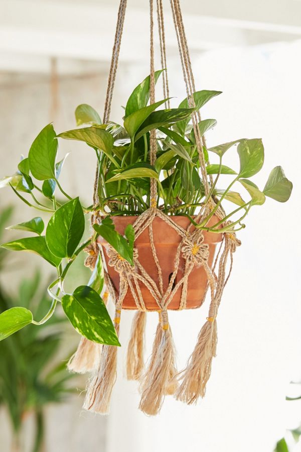 Slide View: 1: Daisy Macramé Hanging Planter Holder