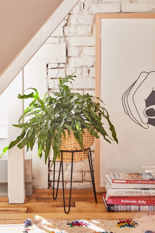 Slide View: 1: Yara Wicker Planter + Stand