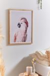 Thumbnail View 1: Sisi And Seb Pink Cockatoo Art Print