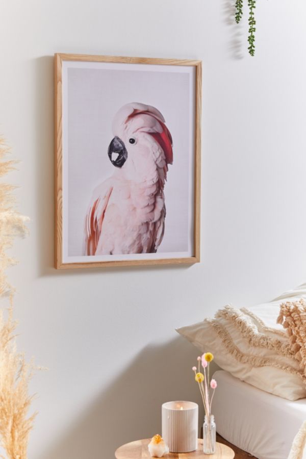 Slide View: 1: Sisi And Seb Pink Cockatoo Art Print