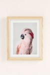 Thumbnail View 2: Sisi And Seb Pink Cockatoo Art Print