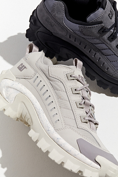 the intruder cat shoes