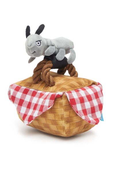 basket dog