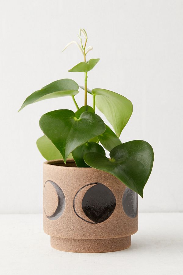 Slide View: 2: Moon Phase Planter