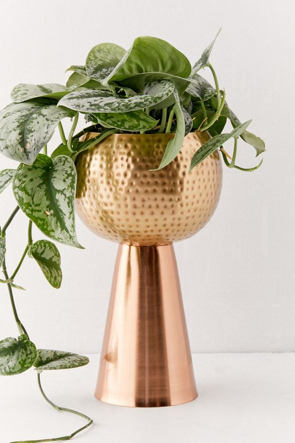 Slide View: 3: Vanessa Tall Metal Planter
