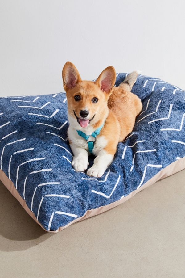 Slide View: 1: Becky Bailey For Deny Big Arrows Pet Bed