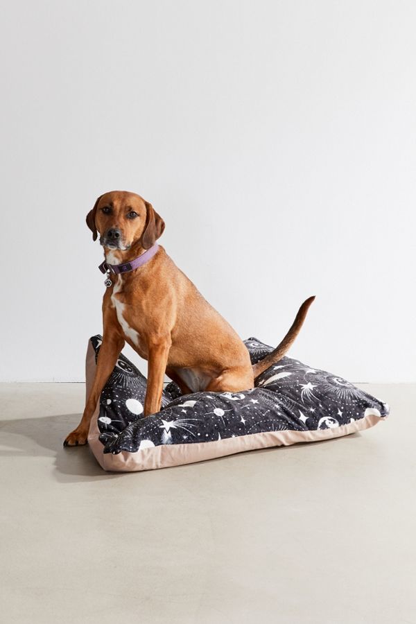 Slide View: 1: Heather Dutton For Deny Solar System Pet Bed