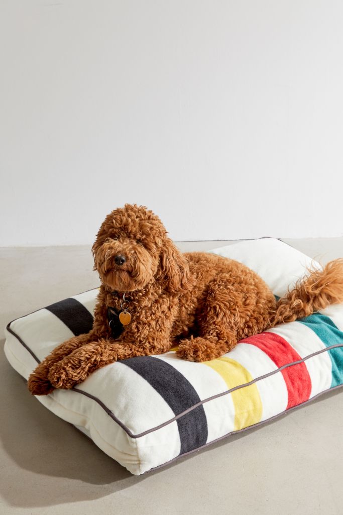 pendleton dog bed