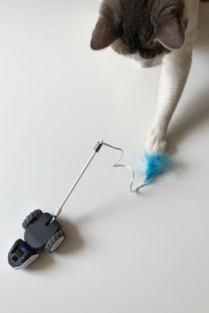 petronics cat toy