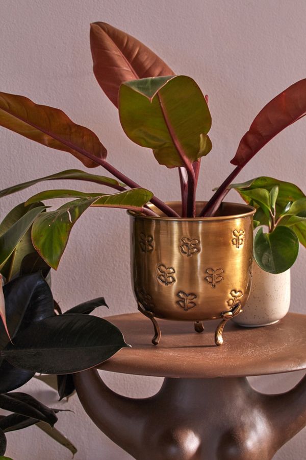 Slide View: 1: Val Footed Metal Planter