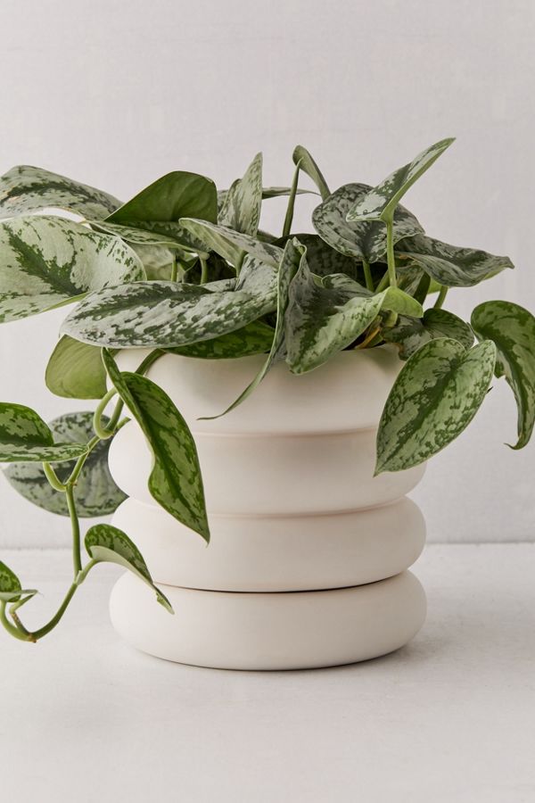 Slide View: 1: Areaware Tall Stacking Planter