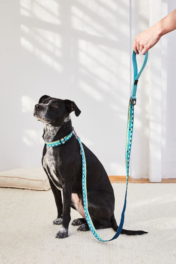 Slide View: 1: United By Blue Dog Leash
