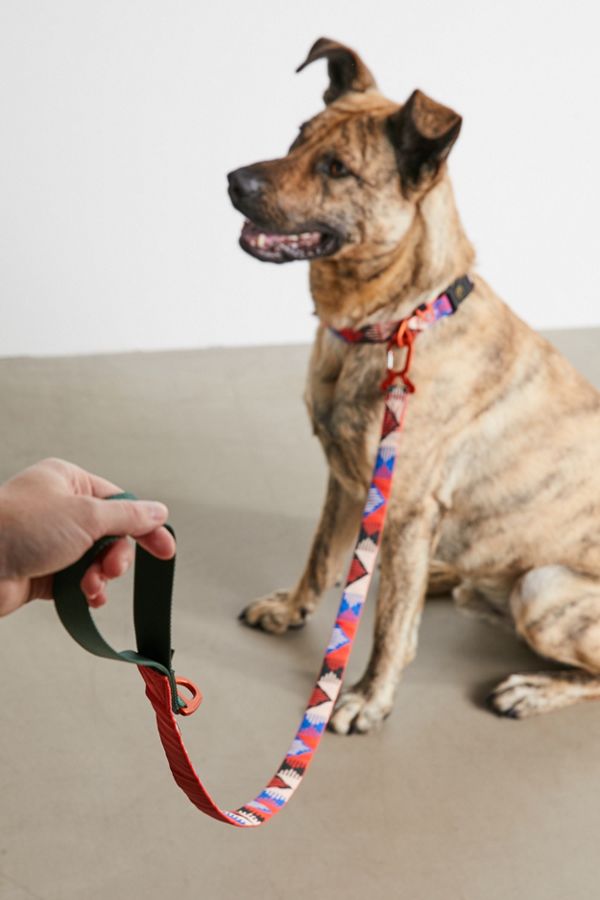 Slide View: 1: United By Blue Dog Leash