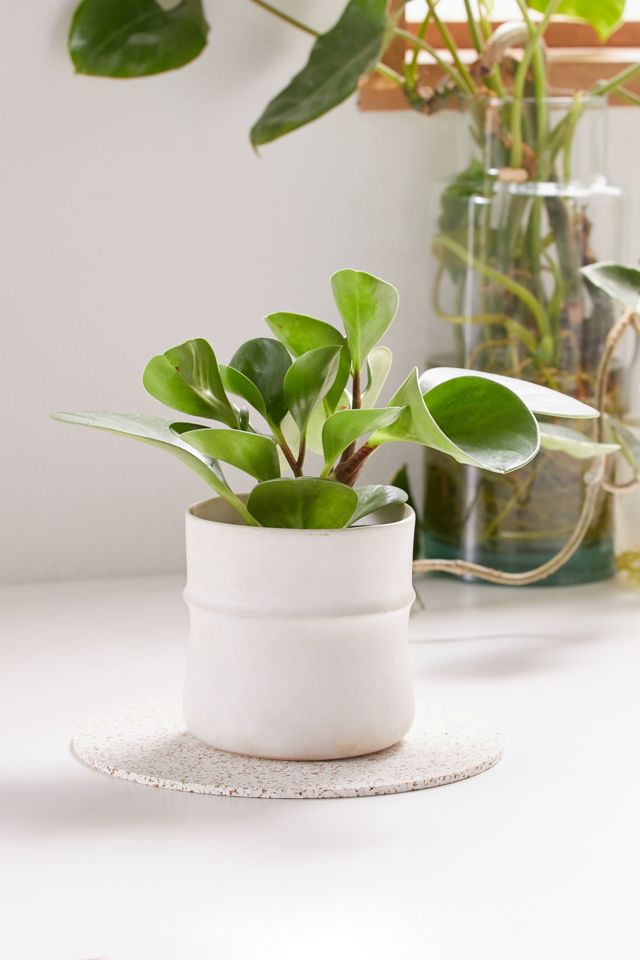 Most Modest Small Rubber Table Mat Urban Outfitters Canada