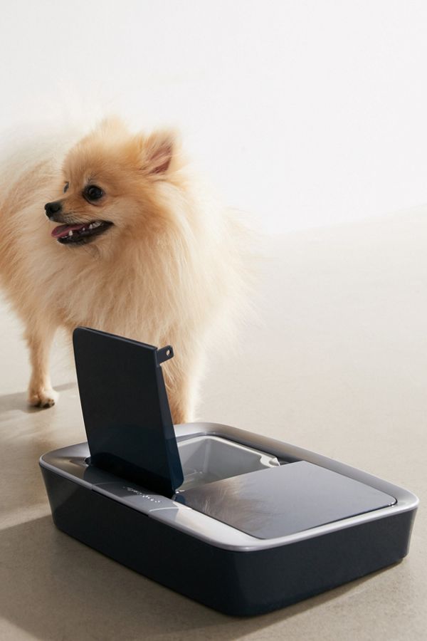 Slide View: 1: PetSafe 2-Meal Automatic Pet Feeder