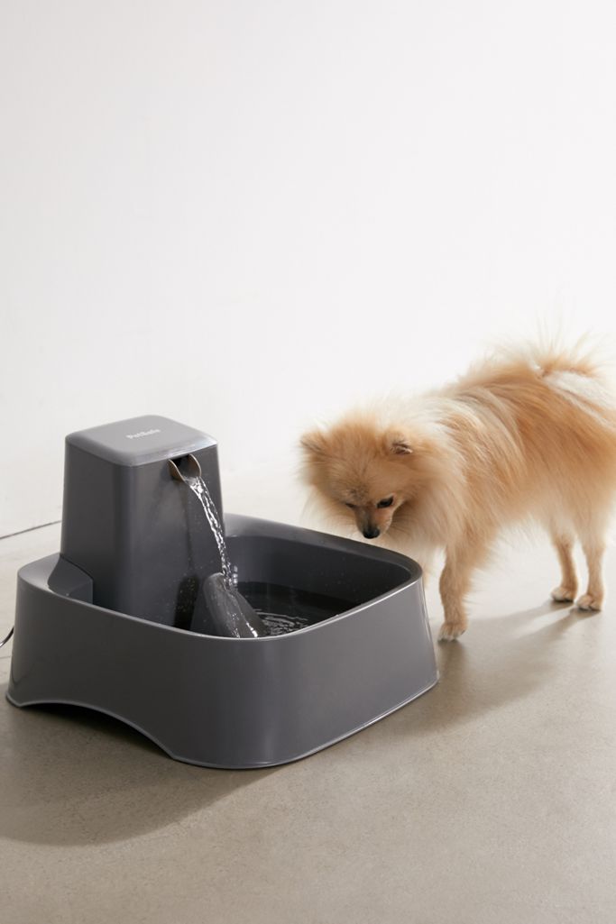 PetSafe Drinkwell® 2Gallon Pet Fountain Urban Outfitters
