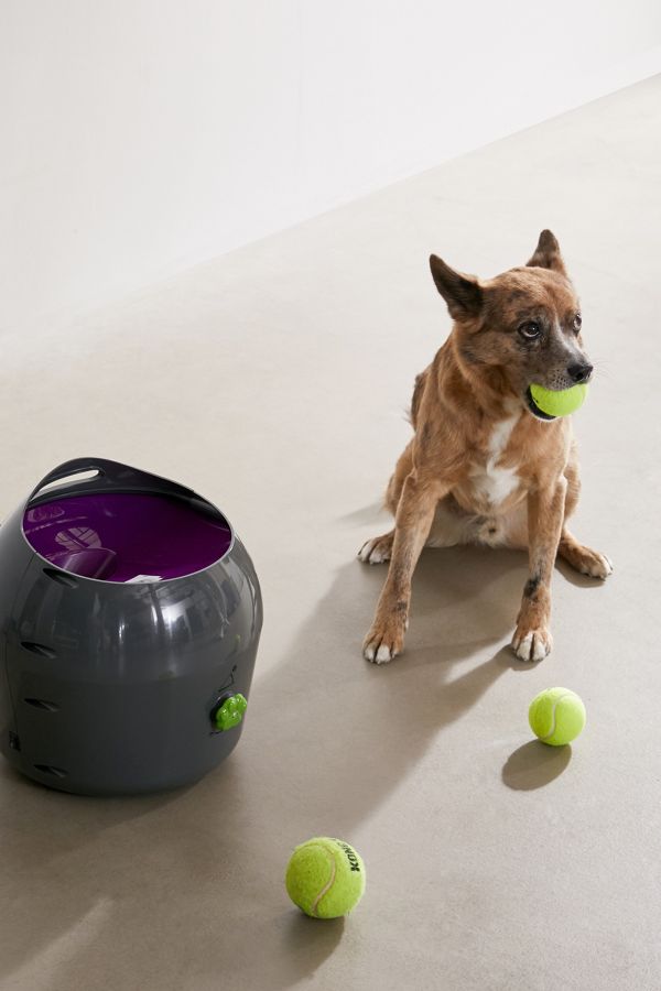 Slide View: 1: PetSafe Automatic Ball Launcher