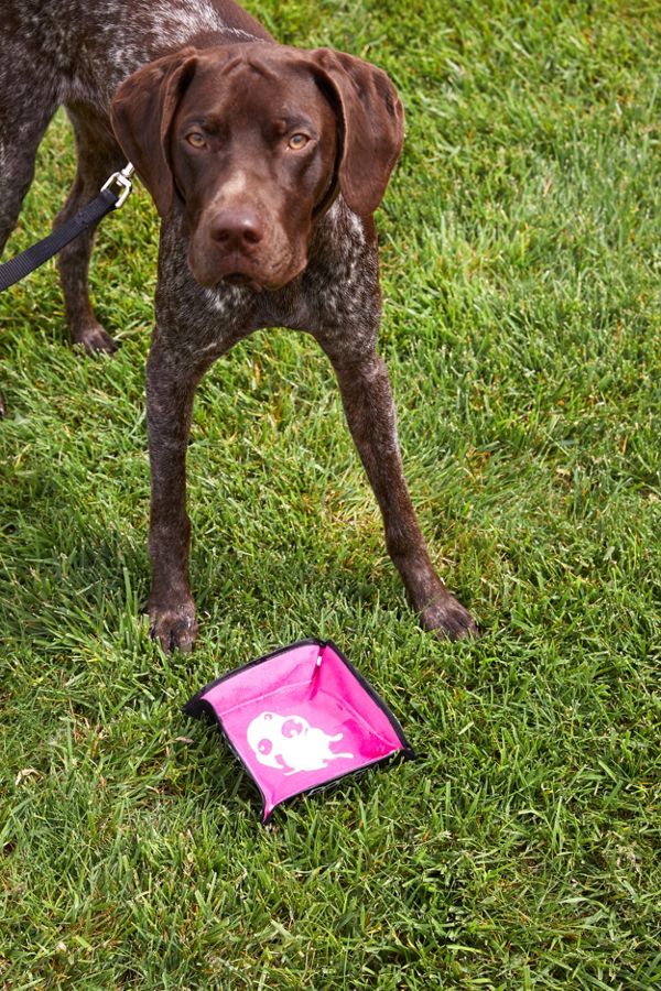 Slide View: 1: DOOG Portable Water Bowl