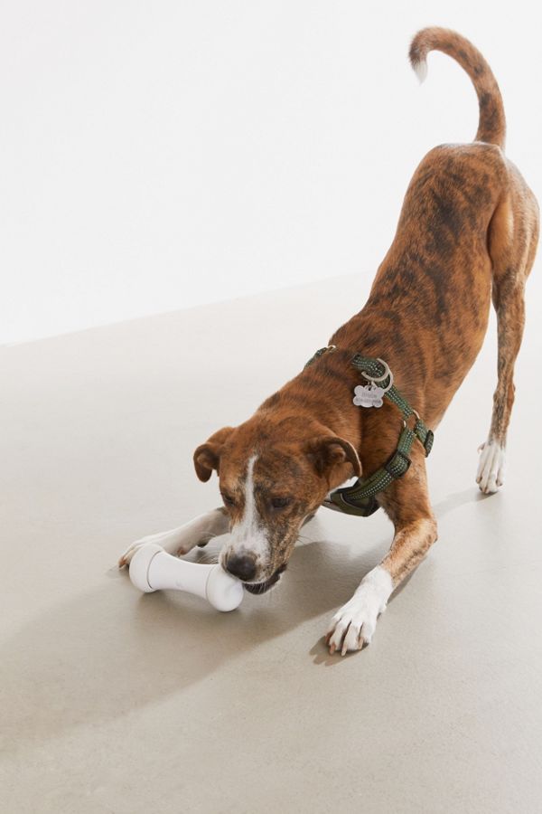 Slide View: 1: Cheerble Wickedbone Dog Toy