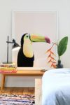 Thumbnail View 1: Sisi And Seb Toucan Art Print