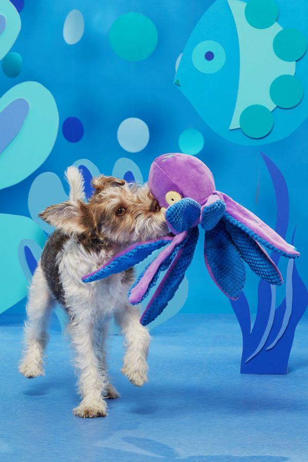 Slide View: 3: BARK Odd Ollie the Octopus Dog Toy