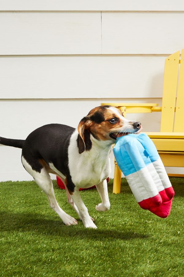 Slide View: 3: BARK Rocket Pupsicle Dog Toy