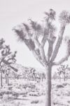 Thumbnail View 4: Bree Madden For Deny Joshua Tree Dowel Art Print